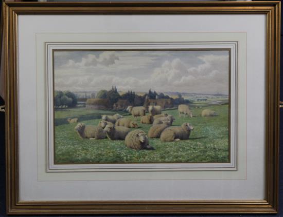 William Sidney Cooper (1854-1927) Sheep in a Kentish meadow, 12.5 x 19.5in.